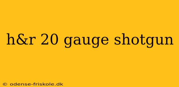 h&r 20 gauge shotgun