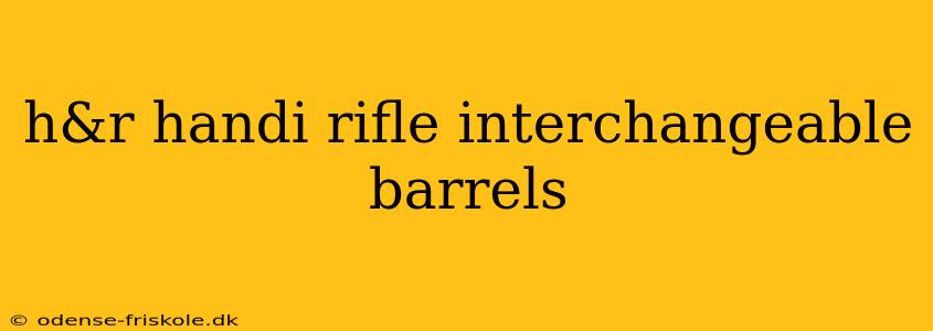 h&r handi rifle interchangeable barrels