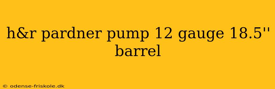 h&r pardner pump 12 gauge 18.5'' barrel