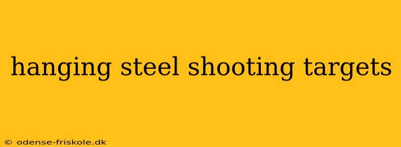 hanging steel shooting targets