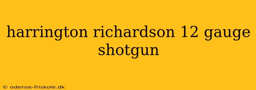 harrington richardson 12 gauge shotgun