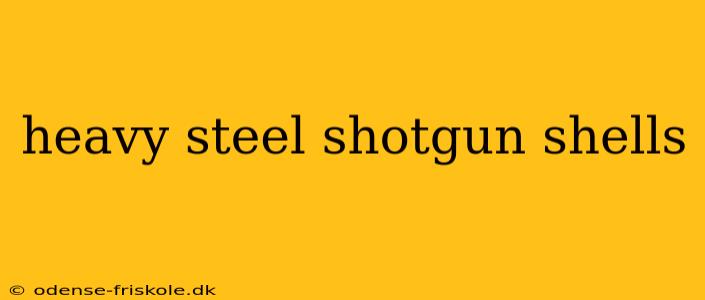 heavy steel shotgun shells