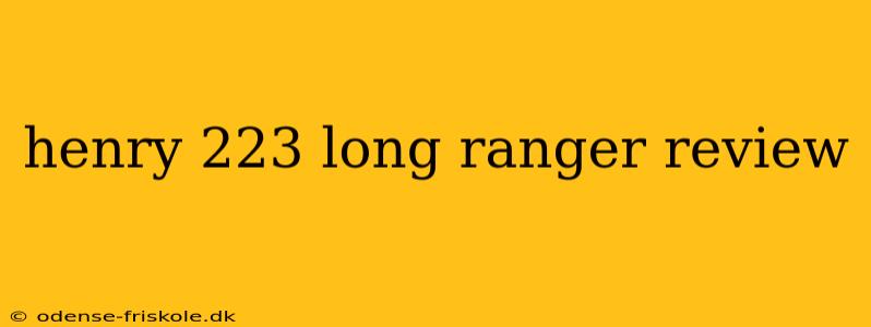 henry 223 long ranger review