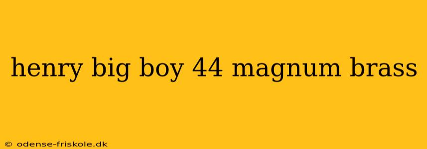 henry big boy 44 magnum brass