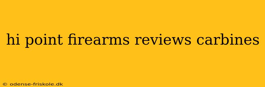 hi point firearms reviews carbines