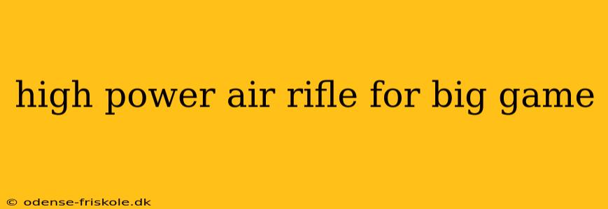 high power air rifle for big game