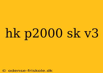 hk p2000 sk v3