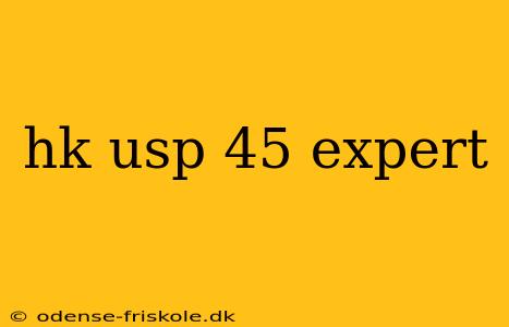 hk usp 45 expert