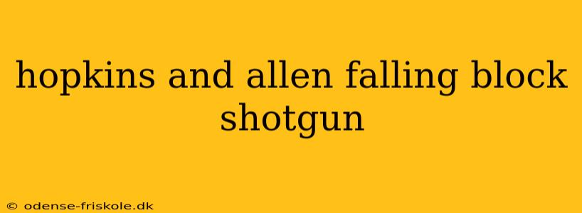 hopkins and allen falling block shotgun