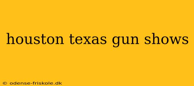 houston texas gun shows