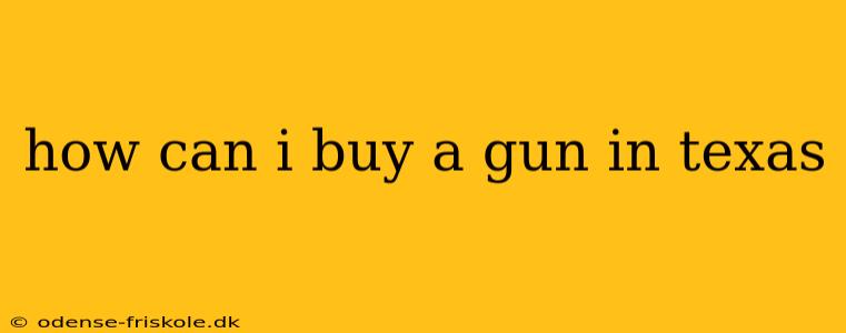 how can i buy a gun in texas