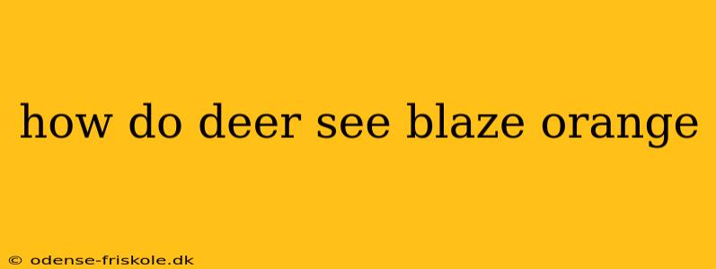 how do deer see blaze orange