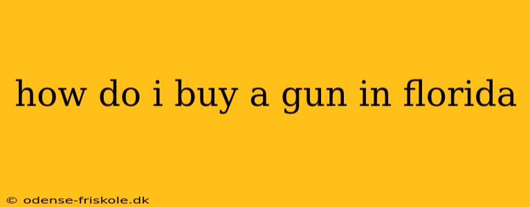 how do i buy a gun in florida