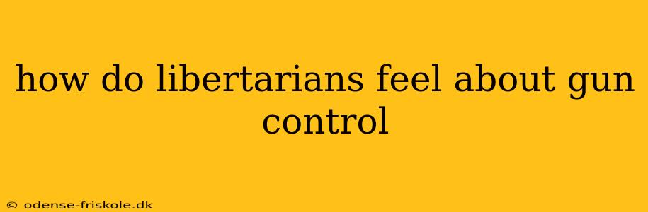 how do libertarians feel about gun control