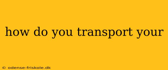 how do you transport your