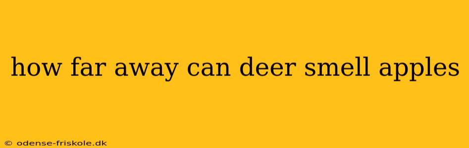 how far away can deer smell apples