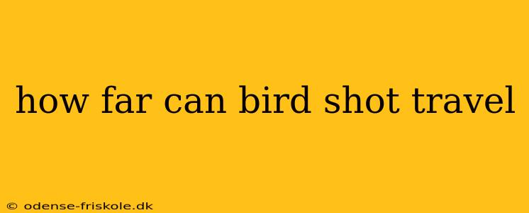 how far can bird shot travel