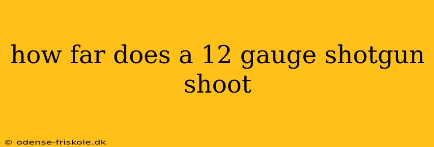 how far does a 12 gauge shotgun shoot