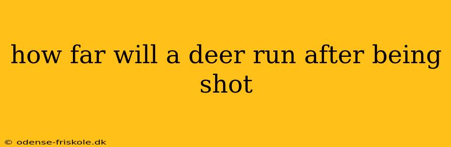 how far will a deer run after being shot