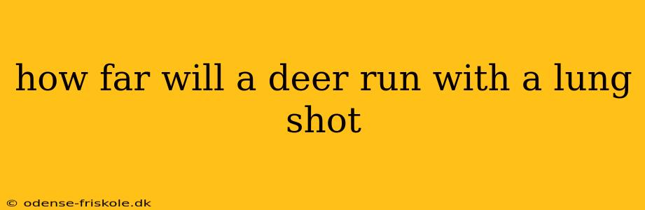 how far will a deer run with a lung shot