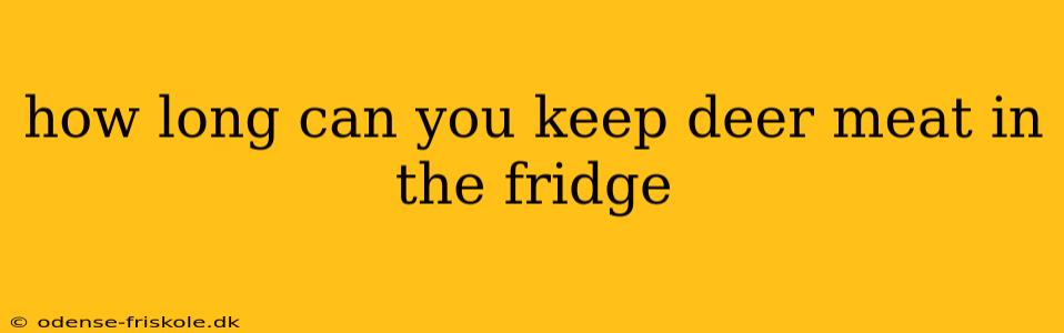 how long can you keep deer meat in the fridge