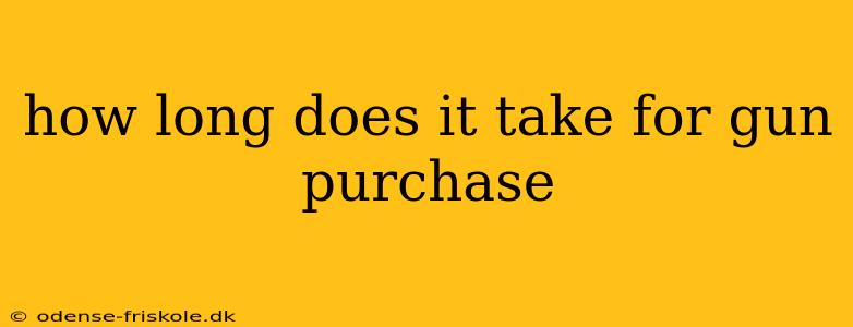 how long does it take for gun purchase