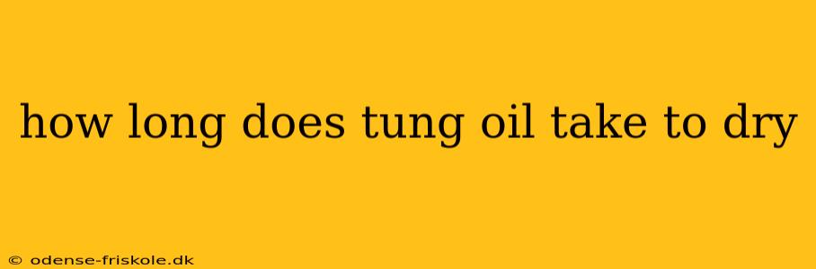 how long does tung oil take to dry