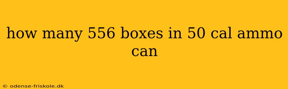 how many 556 boxes in 50 cal ammo can