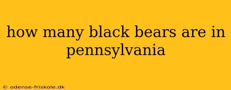 how many black bears are in pennsylvania