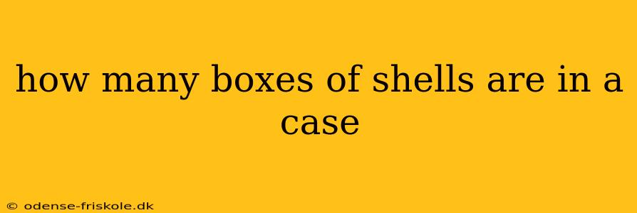 how many boxes of shells are in a case