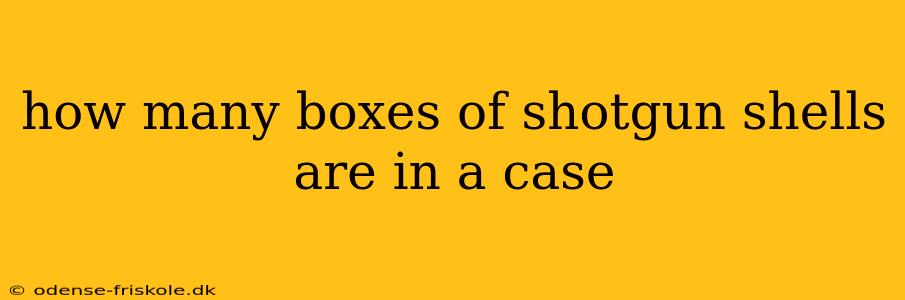 how many boxes of shotgun shells are in a case