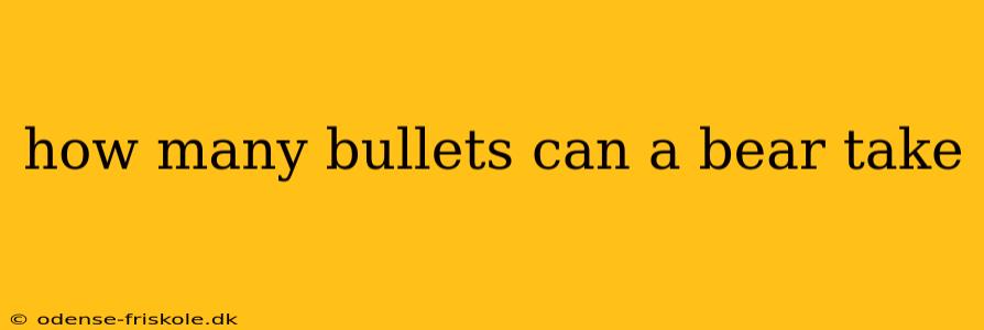 how many bullets can a bear take