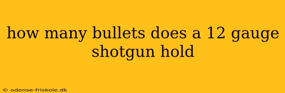 how many bullets does a 12 gauge shotgun hold