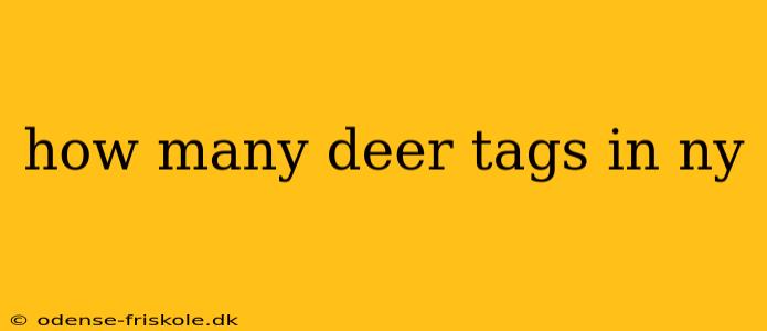 how many deer tags in ny