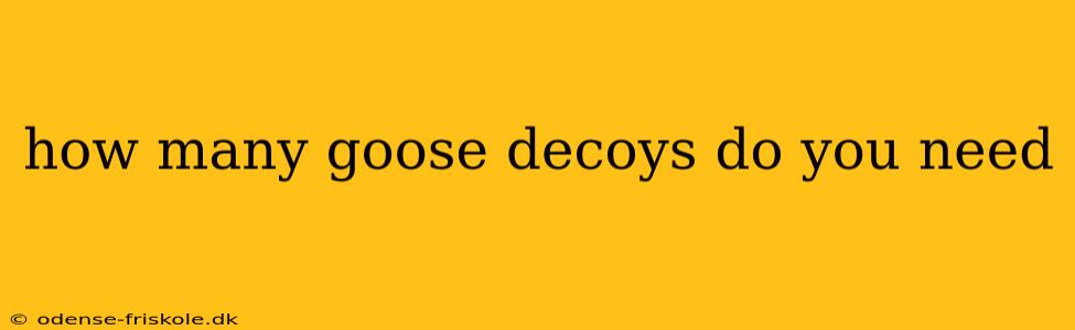 how many goose decoys do you need