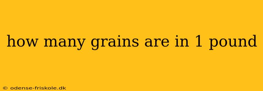 how many grains are in 1 pound