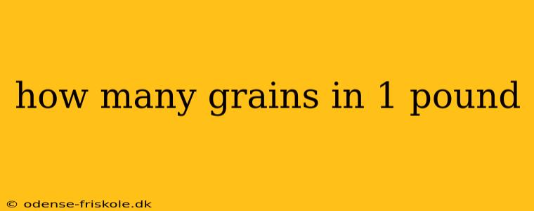 how many grains in 1 pound