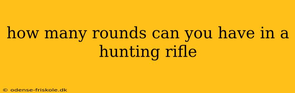 how many rounds can you have in a hunting rifle