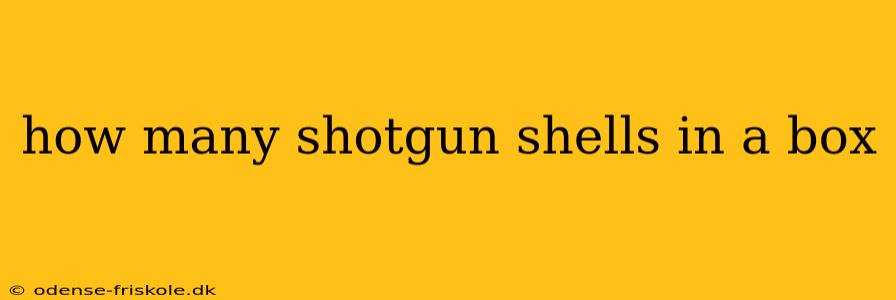 how many shotgun shells in a box