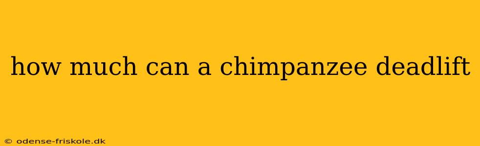 how much can a chimpanzee deadlift