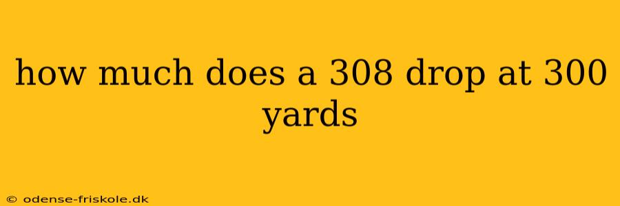 how much does a 308 drop at 300 yards