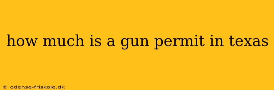 how much is a gun permit in texas