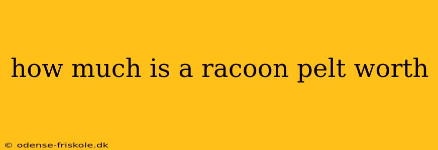 how much is a racoon pelt worth