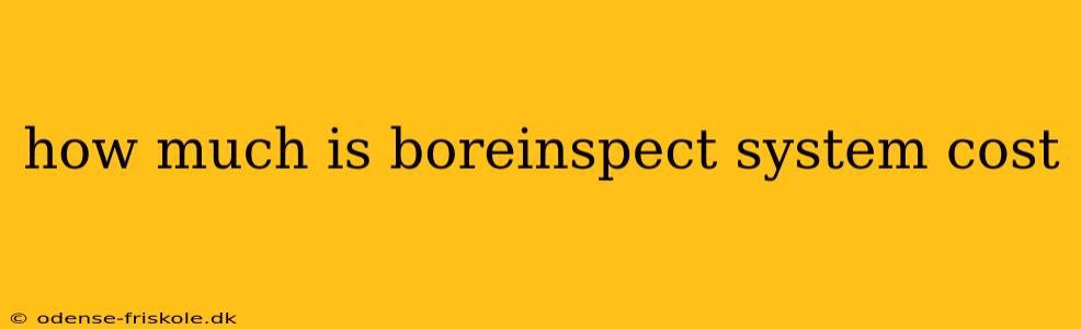 how much is boreinspect system cost