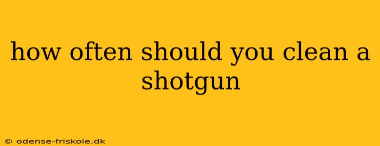 how often should you clean a shotgun