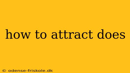 how to attract does