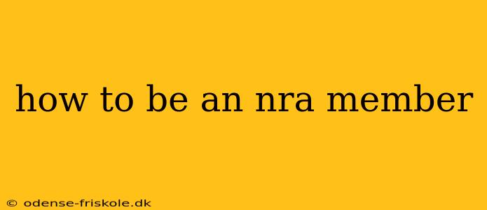 how to be an nra member