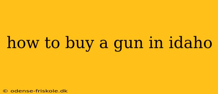 how to buy a gun in idaho