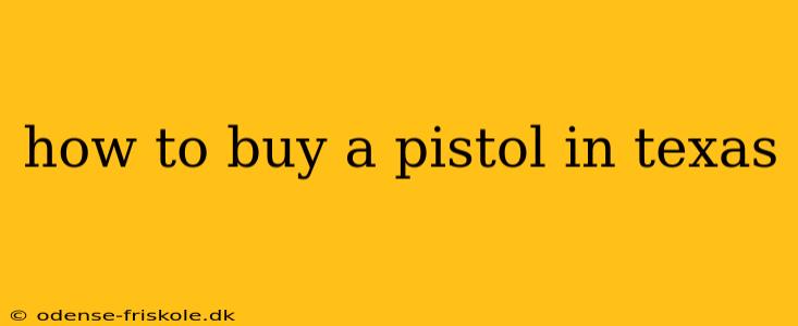 how to buy a pistol in texas