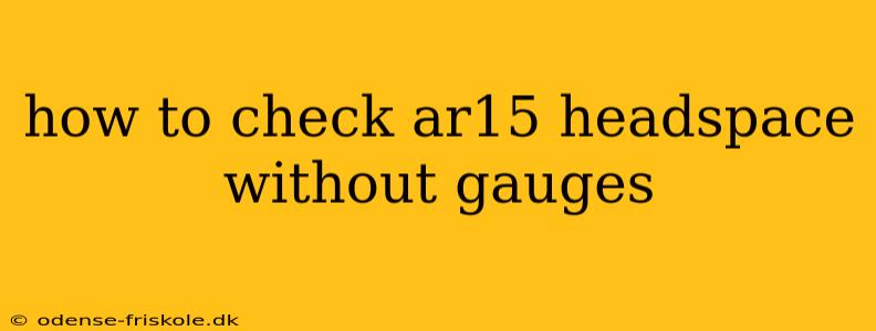 how to check ar15 headspace without gauges